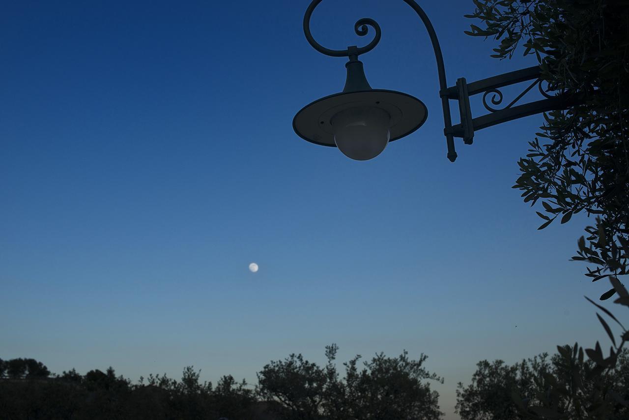 Villa La Pianella มาสซาโรซา ภายนอก รูปภาพ