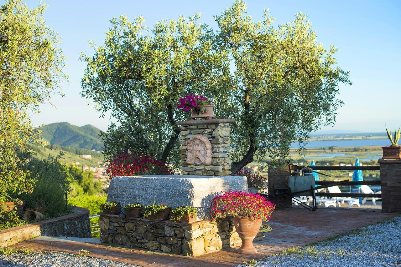 Villa La Pianella มาสซาโรซา ภายนอก รูปภาพ