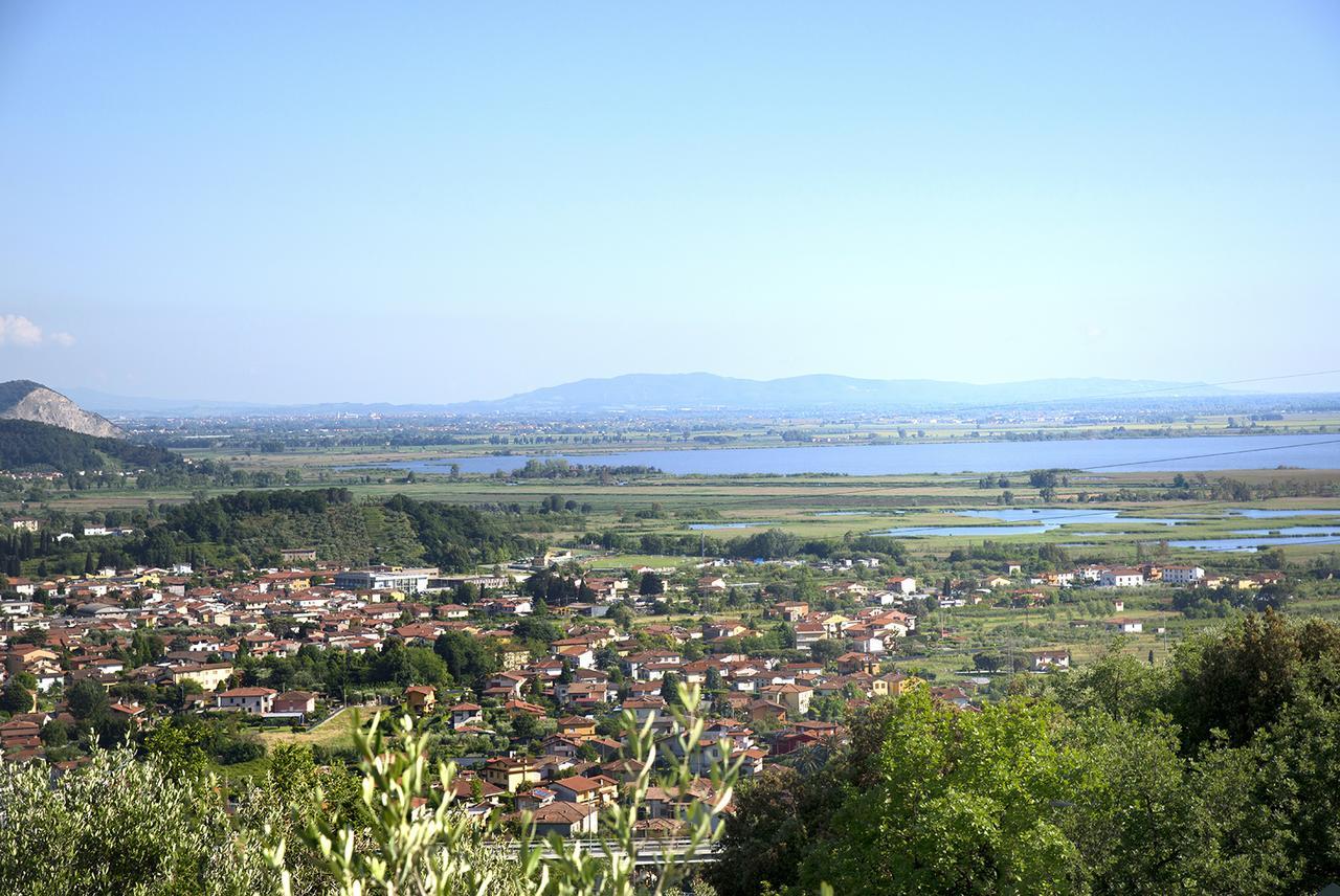 Villa La Pianella มาสซาโรซา ภายนอก รูปภาพ